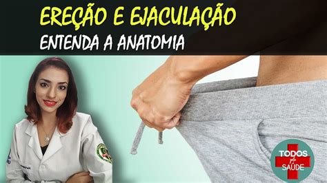 penis de chere|Pênis: Anatomia, função, ereção e ejaculação 